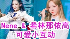 逗小猴开心系列181